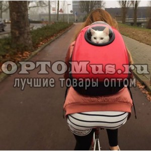 Рюкзак для животных Space Pets оптом в Усолье-Сибирском